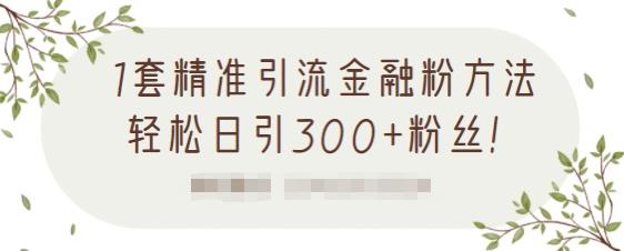 1套精准引流金融粉方法,轻松日引300+粉丝【视频课程】