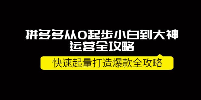 拼多多从0起步小白到大神运营全攻略采购|汽车产业|汽车配件|机加工蚂蚁智酷企业交流社群中心