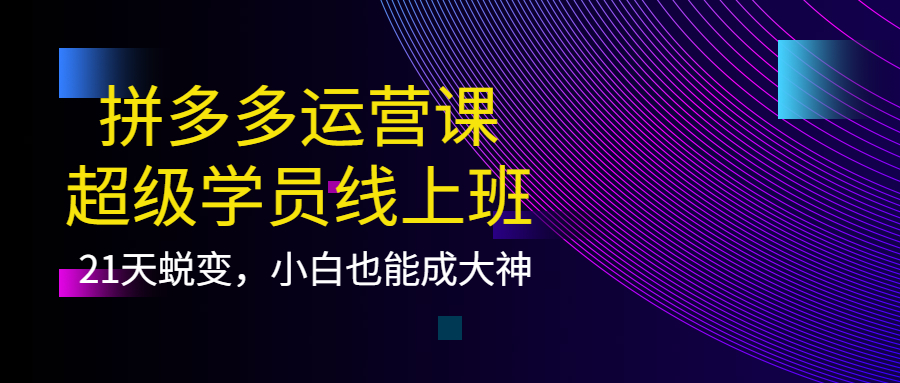 拼多多运营课：超级学员线上班，21天蜕变，小白也能成大神采购|汽车产业|汽车配件|机加工蚂蚁智酷企业交流社群中心