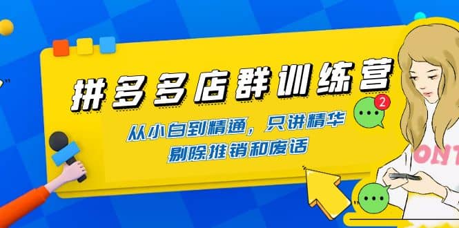 拼多多店群训练营：从小白到精通，只讲精华，剔除推销和废话采购|汽车产业|汽车配件|机加工蚂蚁智酷企业交流社群中心