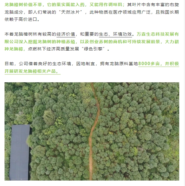 20240222113331892-微信截图_20240222110635