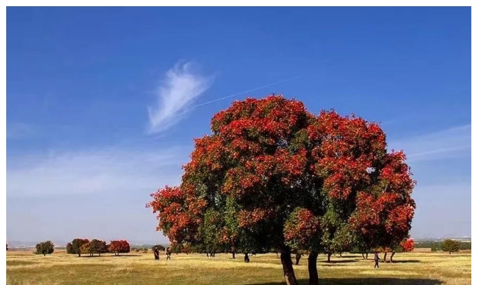 20240223140310187-微信截图_20240223135828