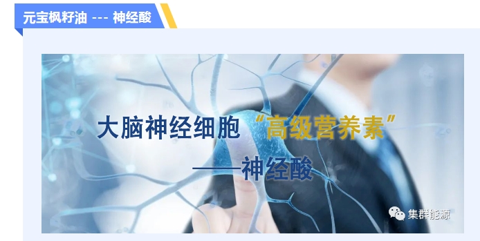 20240223140310457-微信截图_20240223135928