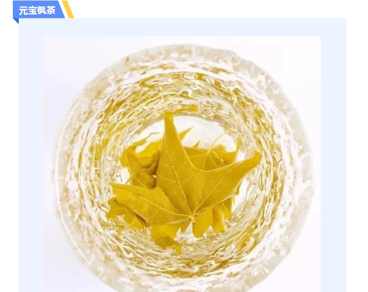 20240223140310505-微信截图_20240223135858