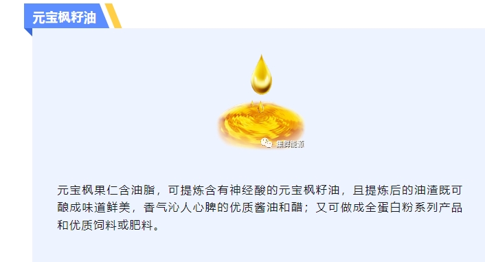 20240223140310763-微信截图_20240223135918