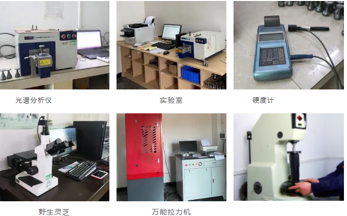 20240226113817750-image