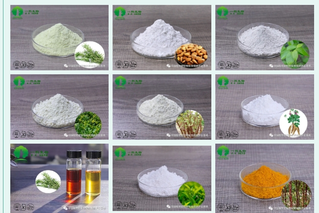 20240227134758562-微信截图_20240227134418