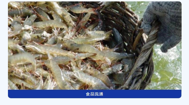 20240227143451936-微信截图_20240227143209