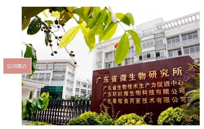 20240228174800146-微信截图_20240228174511