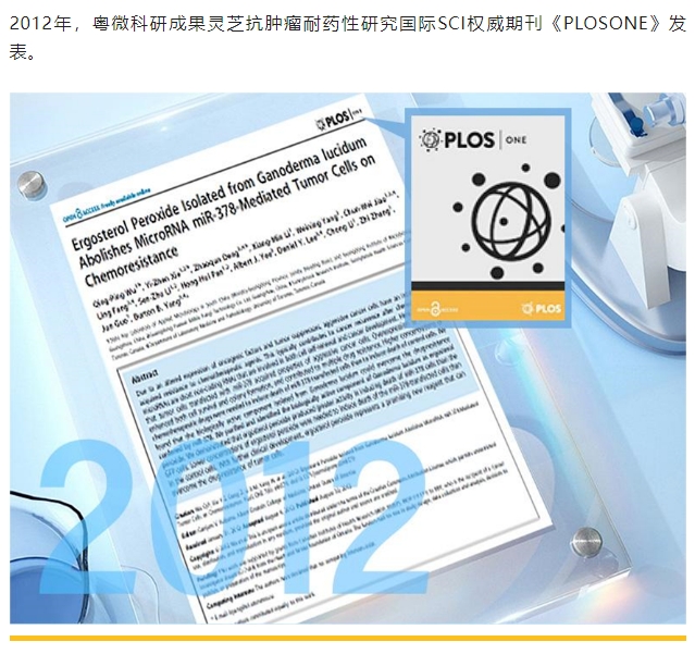 20240228174800209-微信截图_20240228174646