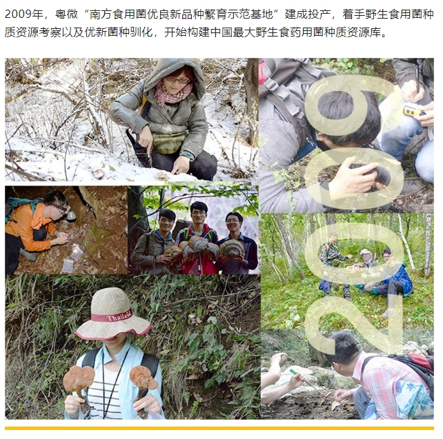 20240228174800370-微信截图_20240228174632