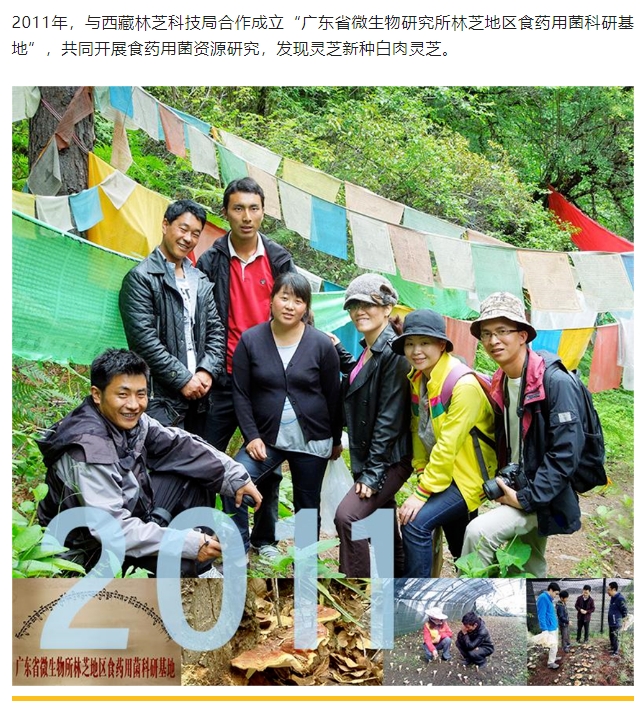 20240228174800912-微信截图_20240228174639