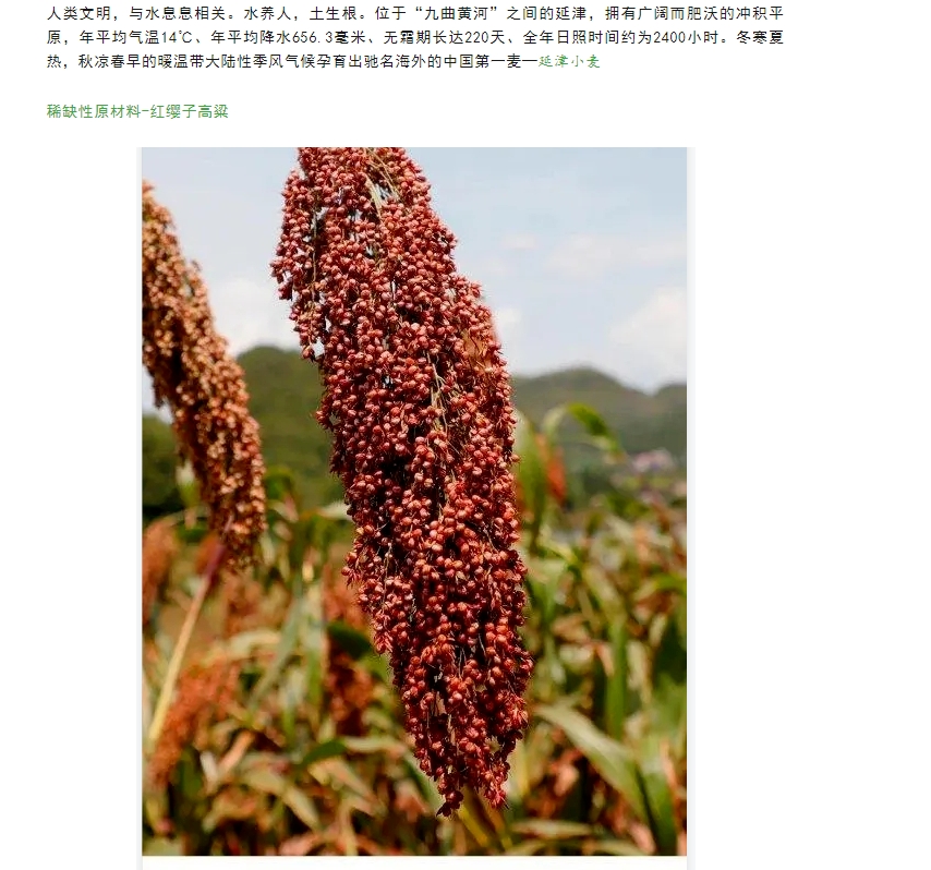 20240229142403145-微信截图_20240229142046