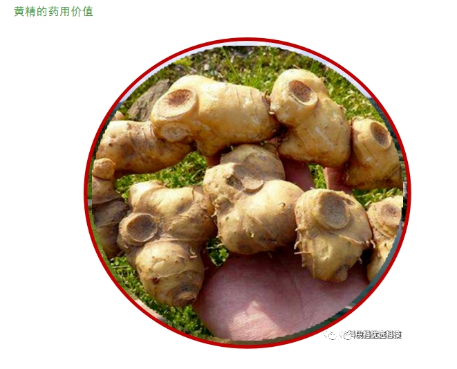 20240229142403614-微信截图_20240229142014