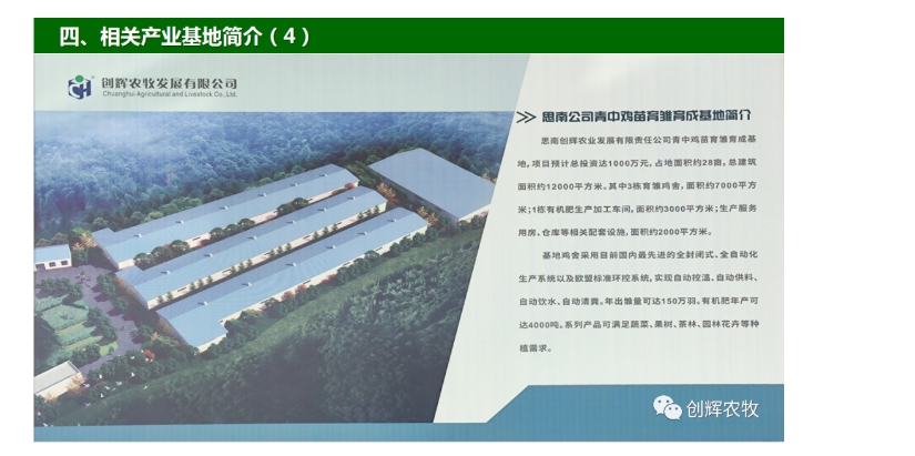 20240301135931493-微信截图_20240301135744