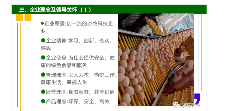 20240301135931986-微信截图_20240301135707