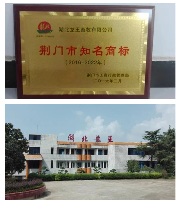 20240305134714344-微信截图_20240305134249