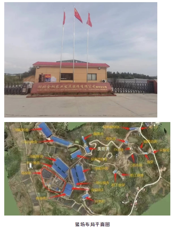 20240305134714419-微信截图_20240305134433