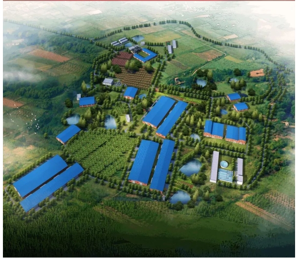 20240305134714548-微信截图_20240305134418