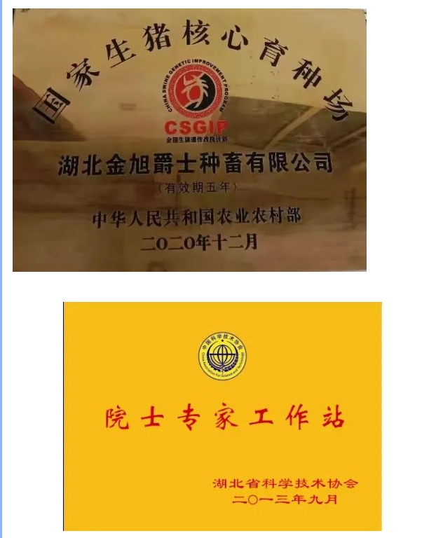 20240305134714658-微信截图_20240305134317