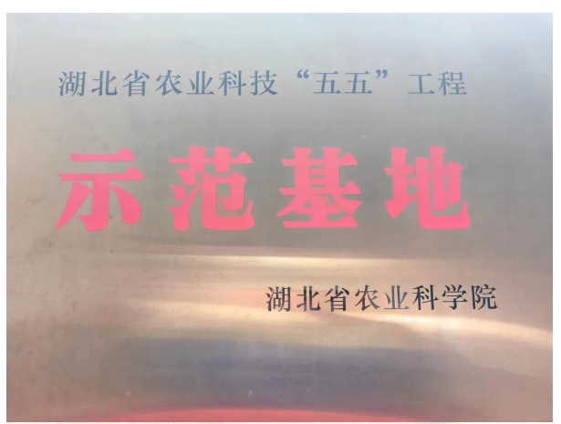 20240305134714699-微信截图_20240305134400