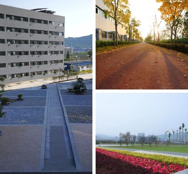 20240306100504644-微信截图_20240306100425