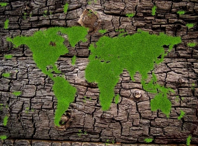 20240307112458707-微信截图_20240307112217