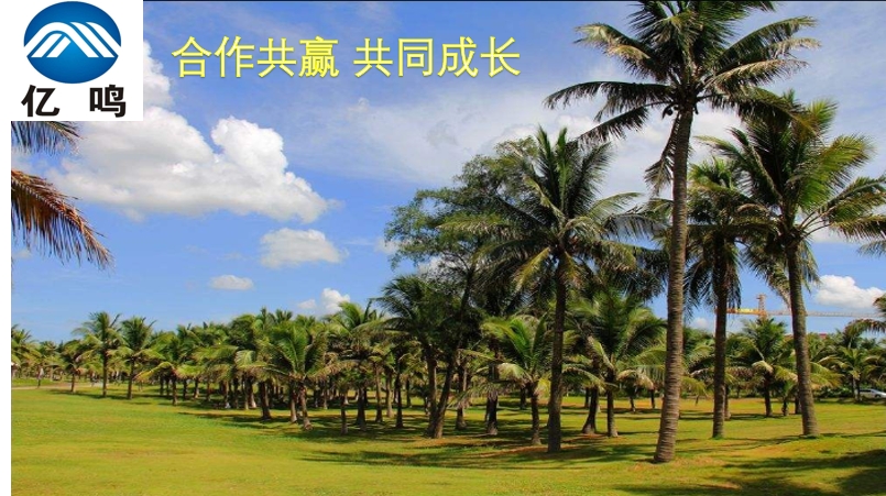 20240308170751860-微信截图_20240308170259