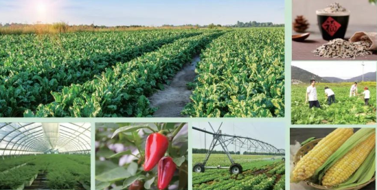 20240308173250624-image