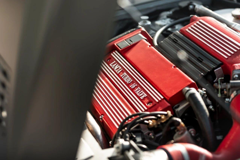 20240311093302406-图片