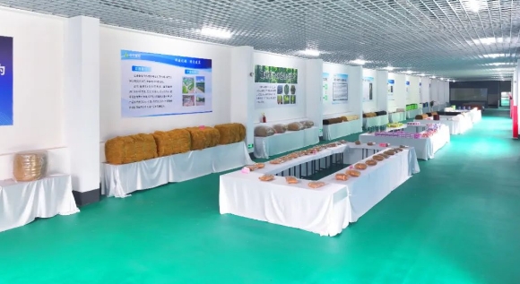 20240311094248407-微信截图_20240311094154