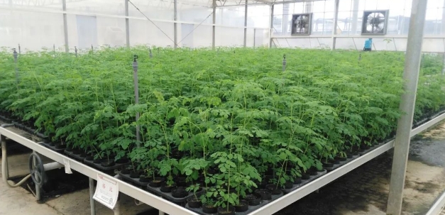 20240312093449630-微信截图_20240312093003