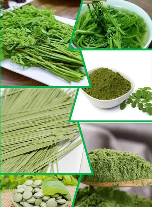 桂林市:生物资源开发研究、育苗、种植、加工、提取采购|汽车产业|汽车配件|机加工蚂蚁智酷企业交流社群中心