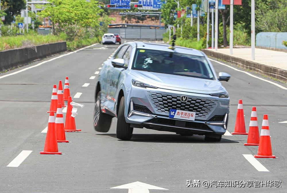 20240314092827331-图片