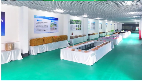 20240314143044471-微信截图_20240314143002