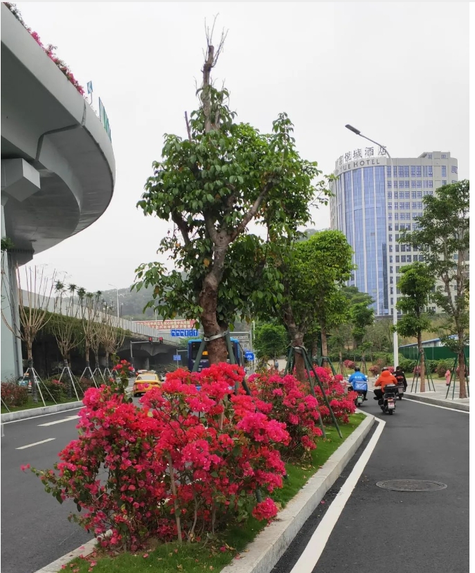 20240318134231779-微信截图_20240318134016