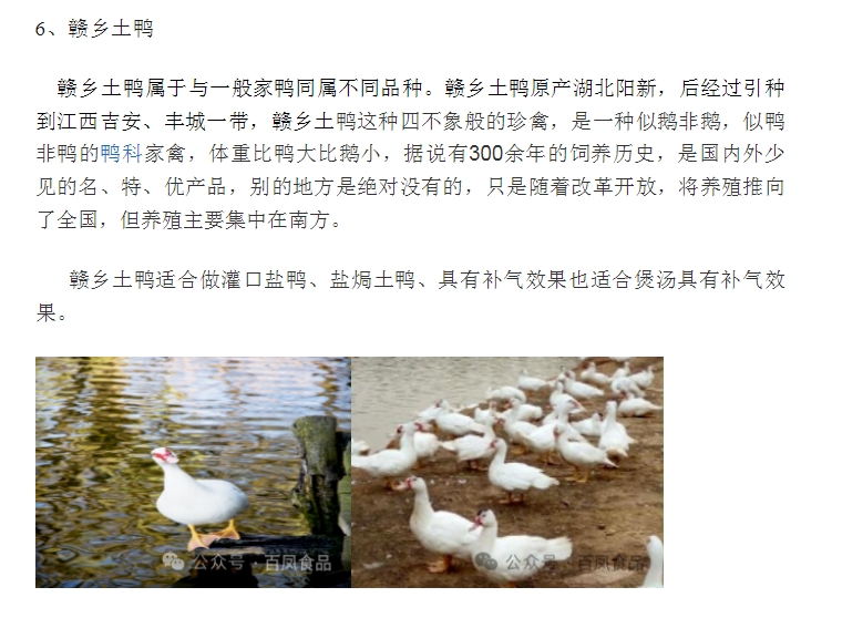 20240318135309306-微信截图_20240318135135