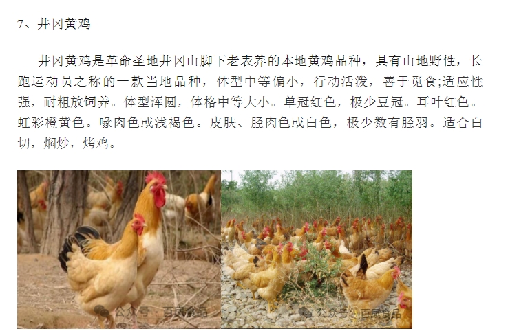 20240318135309681-微信截图_20240318135146