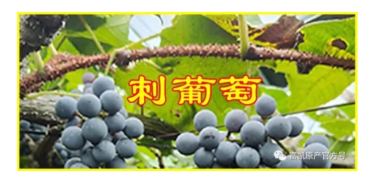 20240318140136199-微信截图_20240318135821