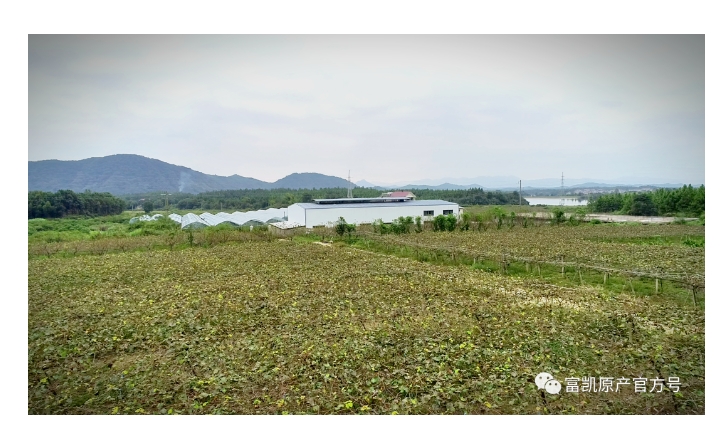 20240318140138854-微信截图_20240318135813