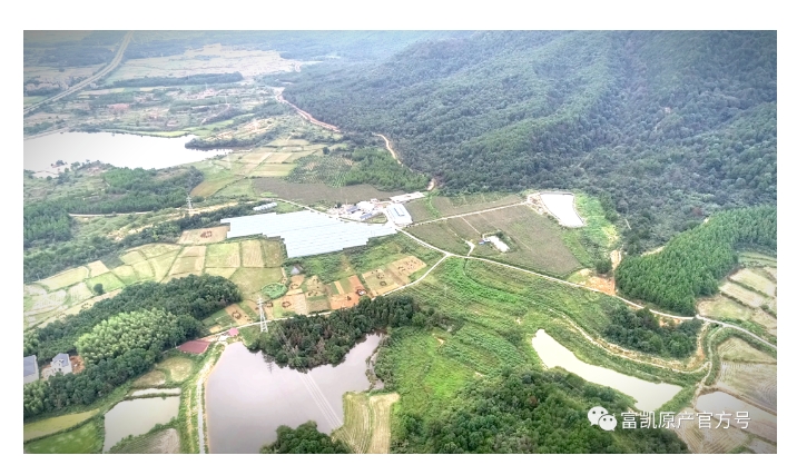 20240318140138903-微信截图_20240318135804