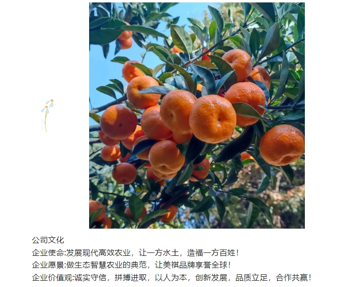 20240318141809119-微信截图_20240318141721