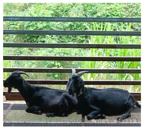 抚州市：动物饲养，水产养殖，家禽饲养，食品互联网销售等采购|汽车产业|汽车配件|机加工蚂蚁智酷企业交流社群中心