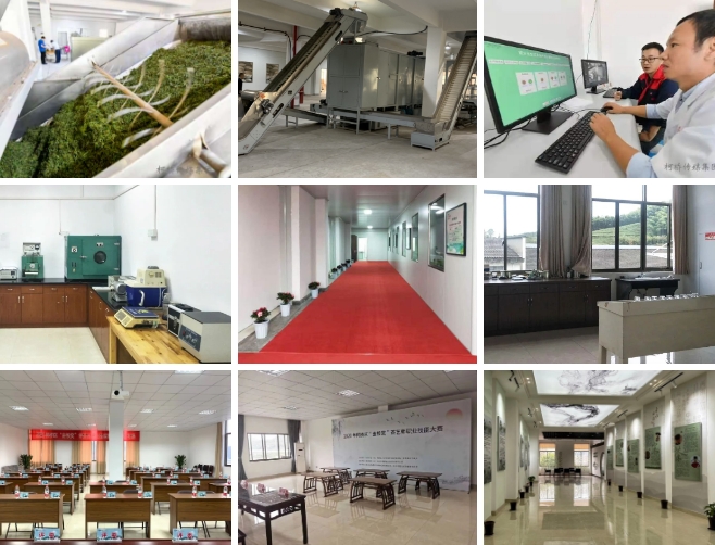 20240319104353416-微信截图_20240319104238