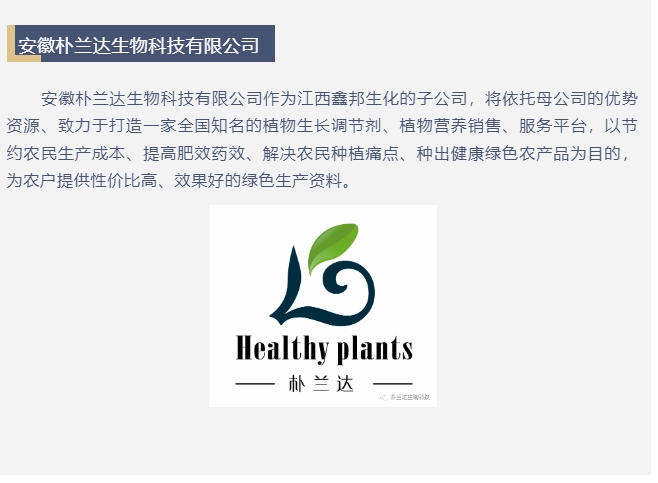 20240320132331847-微信截图_20240320132049