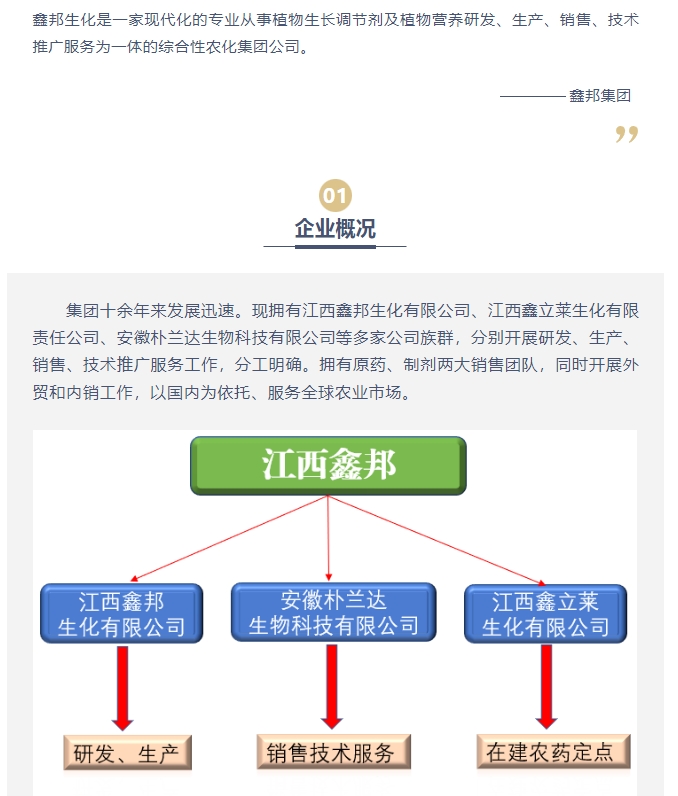 20240320132333775-微信截图_20240320131934