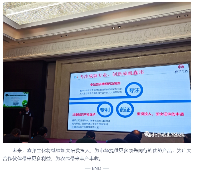 20240320132334733-微信截图_20240320132220