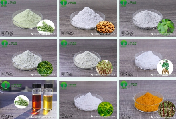 20240322102821313-微信截图_20240322102550