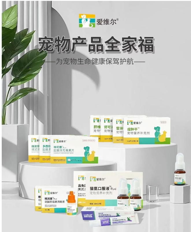 20240325144358465-微信截图_20240325144145