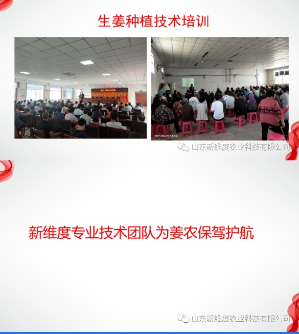 20240412093536629-微信截图_20240412093441